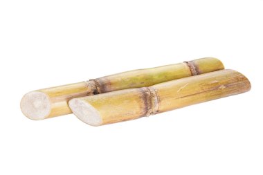 Sugarcane isolated on white background, close-up.