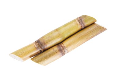 Sugarcane isolated on white background, close-up.