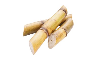 Sugarcane isolated on white background, close-up.