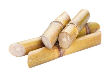 Sugarcane isolated on white background, close-up.