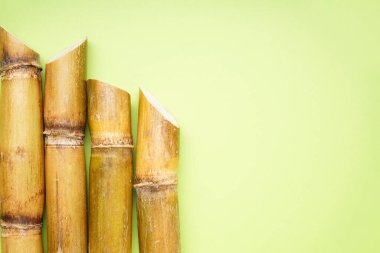Sugar cane on a green background with space for text. Top view.