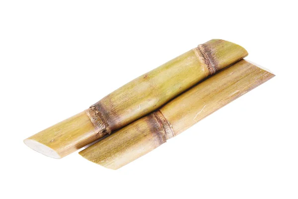 Sugarcane Isolated White Background Close — Zdjęcie stockowe