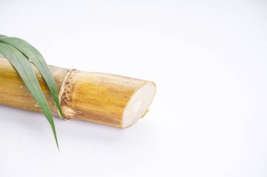 Sugar cane isolated on white background with space for text, closeup.