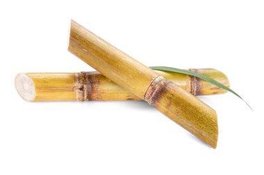 Beyaz arkaplanda izole şeker kamışı.