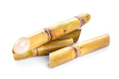 Sugar cane isolated on white background, close-up.