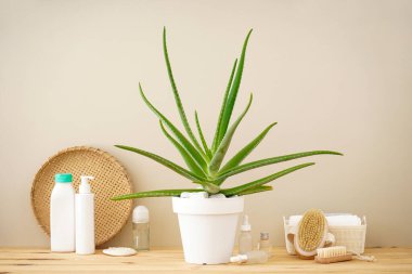 Aloe vera and composition of body care and beauty products on a wooden table.