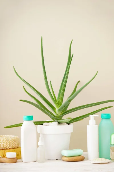 Aloe Vera Composition Body Care Beauty Products Beige Background Vertically — Zdjęcie stockowe