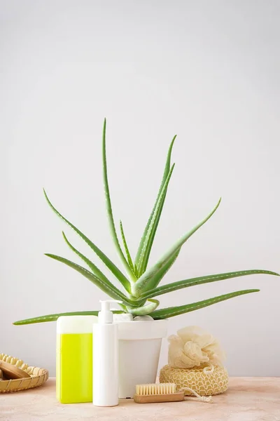 Aloe Vera Composition Body Care Beauty Products Colour Background Vertically — Zdjęcie stockowe