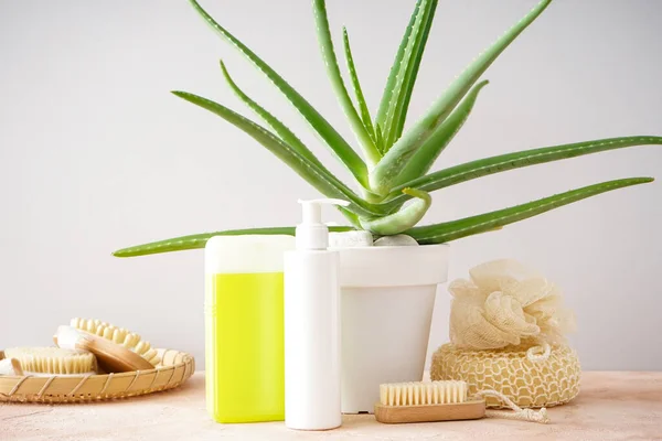 Aloe vera and composition of body care and beauty products on a colour background.