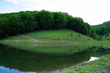 Ukrayna doğası. Batı Ukrayna 'daki Dniester Nehri. 