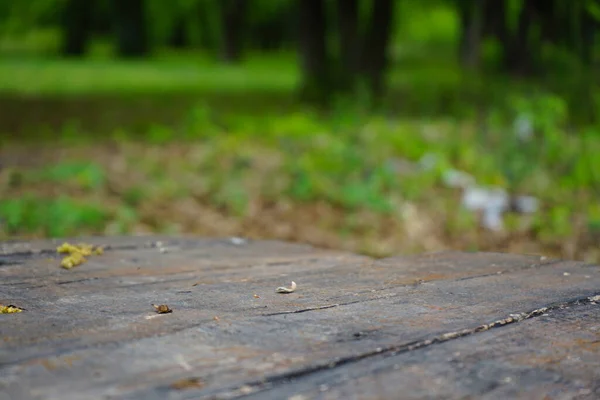 Primer Plano Fondo Textura Madera Vieja — Foto de Stock