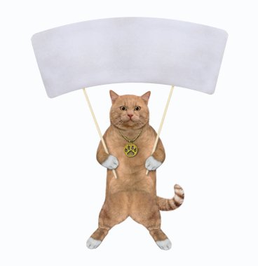 Tahta sopaların üzerinde kocaman boş bir posteri olan kırmızımsı bir kedi. Beyaz arka plan. İzole edilmiş.