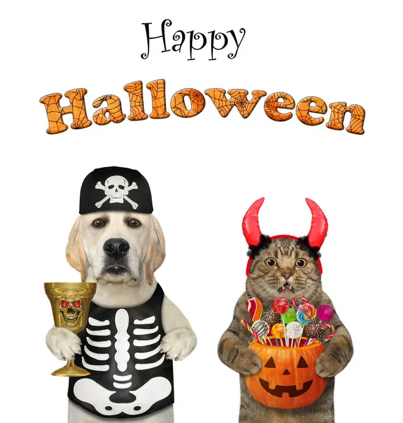 A dog labrador in a skeleton costume with a beige cat in devil horns are celebrating Halloween. White background. Isolated.