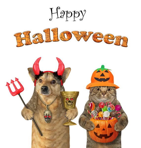 A beige dog in red devil horns with a cat are celebrating Halloween. White background. Isolated.