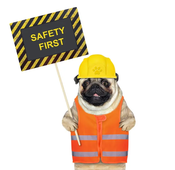 一只戴着建筑用头盔的狗吐着一张标语牌 上面写着安全第一 白色背景 被隔离了 — 图库照片