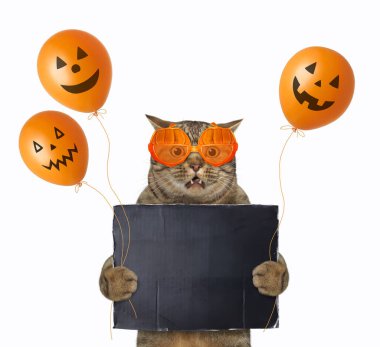 Balkabağı şeklindeki gözlüklü bej bir kedi cadılar bayramı için siyah boş bir poster ve balon tutuyor. Beyaz arka plan. İzole edilmiş.