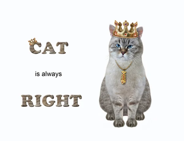 Zit Een Askat Een Gouden Kroon Cat Heeft Altijd Gelijk — Stockfoto