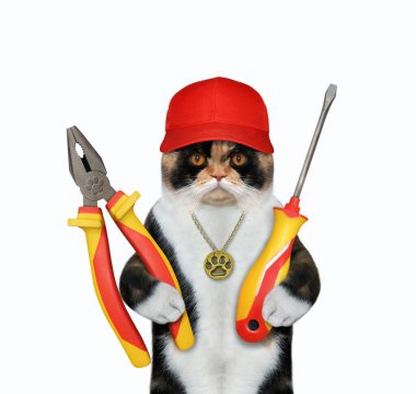 Kırmızı şapkalı renkli bir kedi tamircisi bir kerpeten ve bir tornavida tutar. Beyaz arka plan. İzole edilmiş.