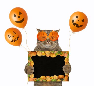 Balkabağı şeklindeki gözlüklü bej bir kedi cadılar bayramı için siyah boş bir poster ve balon tutuyor. Beyaz arka plan. İzole edilmiş.