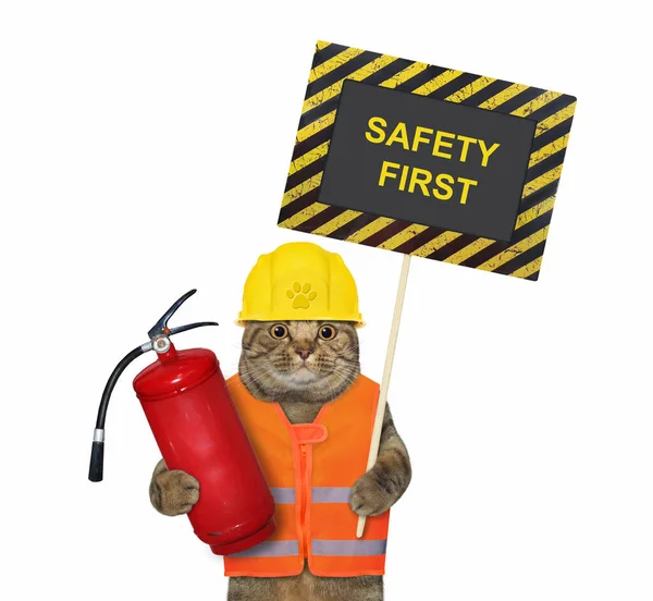 Beige Cat Construction Helmet Holds Fire Extinguisher Poster Says Safety — Stock Photo, Image