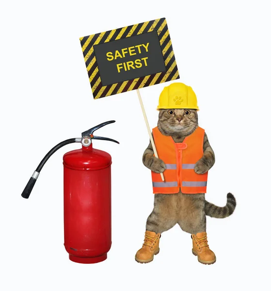 建築用ヘルメットのベージュの猫が消火器と安全第一というポスターを持っています 白地だ — ストック写真