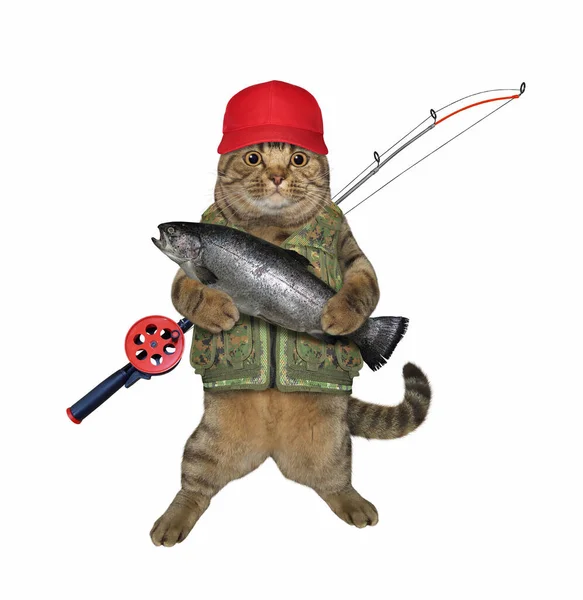 Beige Cat Fisher Red Cat Fishing Rod Caught Trout White — Stock Photo, Image
