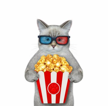 Üç boyutlu gözlüklü bir kedi patlamış mısır yiyor ve film izliyor. Beyaz arka plan. İzole edilmiş.