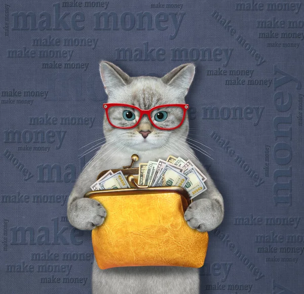 Eine Aschekatze Brille Hält Eine Orangefarbene Ledertasche Mit Dollars Der — Stockfoto