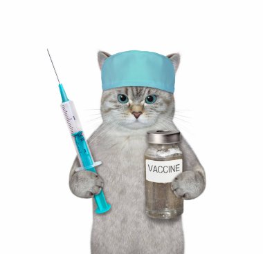Tıbbi şapkalı bir dişbudak doktoru elinde şırınga ve bir şişe aşı tutuyor. Coronavirus. Beyaz arka plan. İzole edilmiş.