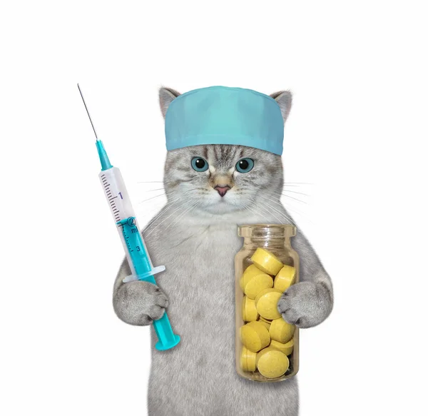 Doktor Popelavé Kočky Lékařském Klobouku Drží Injekční Stříkačku Lahvičku Pilulek — Stock fotografie