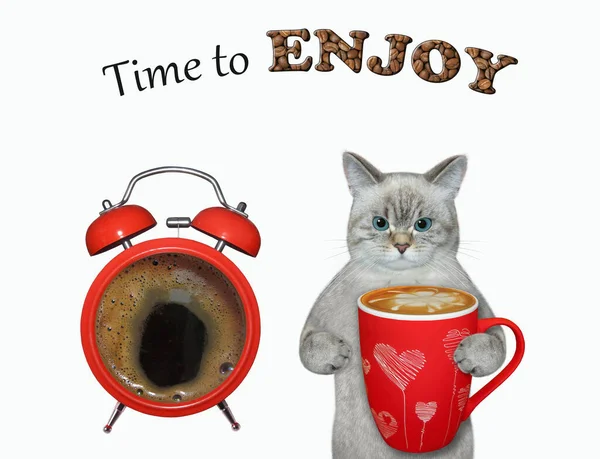 Μια Γάτα Στάχτης Ένα Μεγάλο Ξυπνητήρι Πίνει Καφέ Ώρα Απολαύσουμε — Φωτογραφία Αρχείου