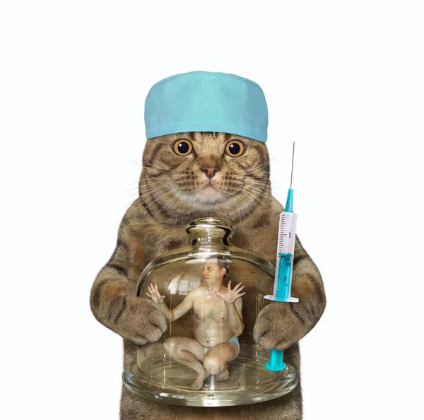 医療用の帽子のベージュの猫の医者は内側の男性と注射器とガラスのフラスコを保持しています 白地だ — ストック写真