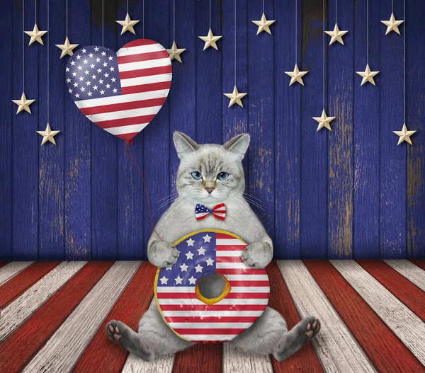 무대에는 고양이가 아메리칸 풍선을 — 스톡 사진