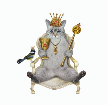Tahtta bir asa ve altın bir kadehle taç giymiş bir külçeli kedi var. Beyaz arka plan. İzole edilmiş.