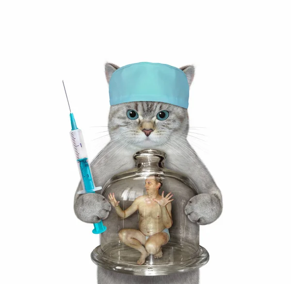 医療用の帽子の灰猫の医者は内側の男性と注射器とガラスフラスコを保持しています 白地だ — ストック写真