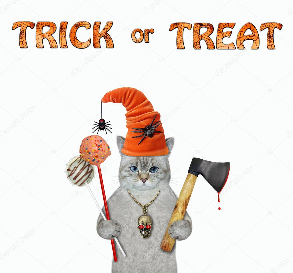 An ashen cat in a hat with spiders holds an axe and cake pops for Halloween. White background. Isolated.