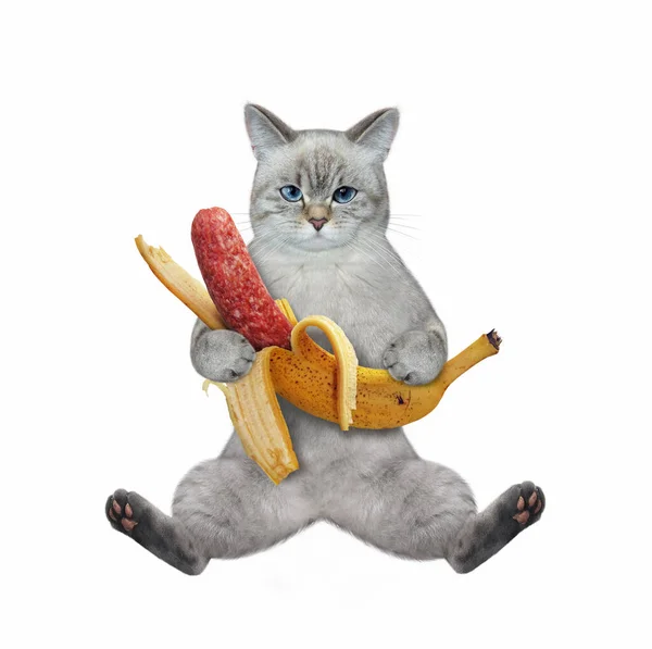 Попелиця Сидить Банановою Ковбасою Білий Фон Ізольовані — стокове фото