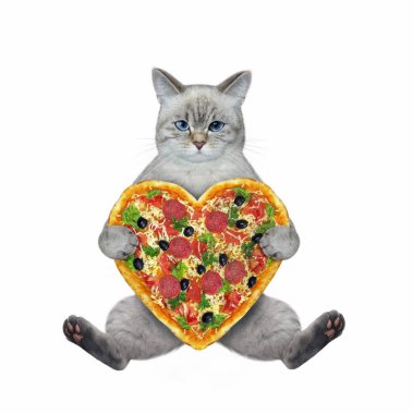 Bir kül kedisi kalp şeklinde bir pizzayla oturur. Beyaz arka plan. İzole edilmiş.