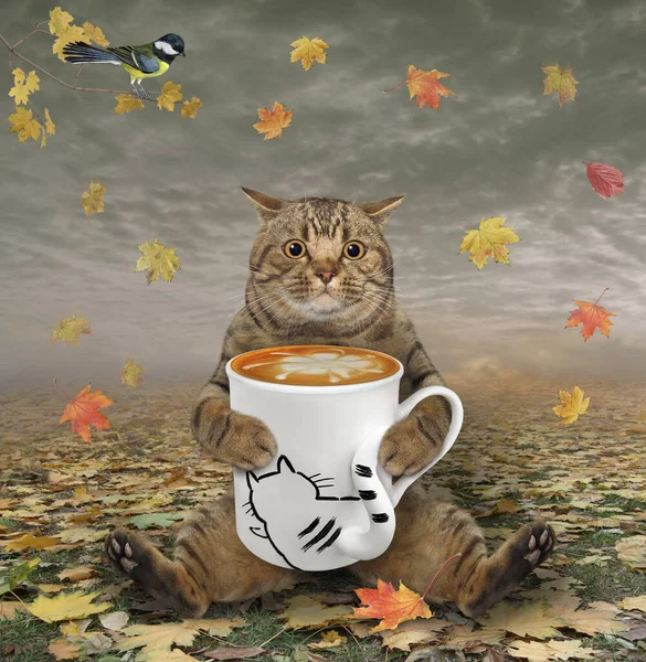 Beżowy Kot Siedzi Liściach Pije Kawę Jesiennym Parku — Zdjęcie stockowe