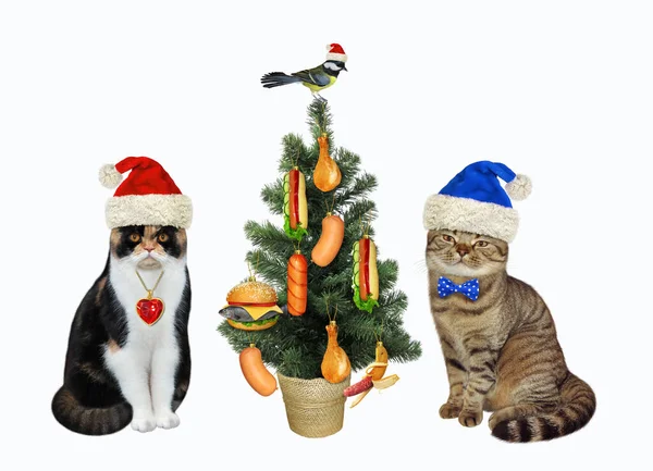 Две Кошки Шляпах Санта Клауса Украшают Елку Вкусной Едой Белый — стоковое фото