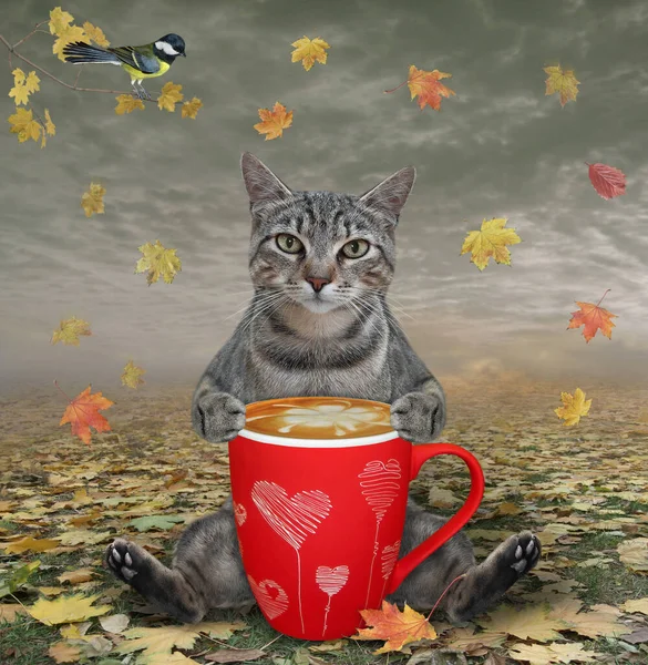 Eine Graue Katze Sitzt Auf Den Blättern Und Trinkt Kaffee — Stockfoto