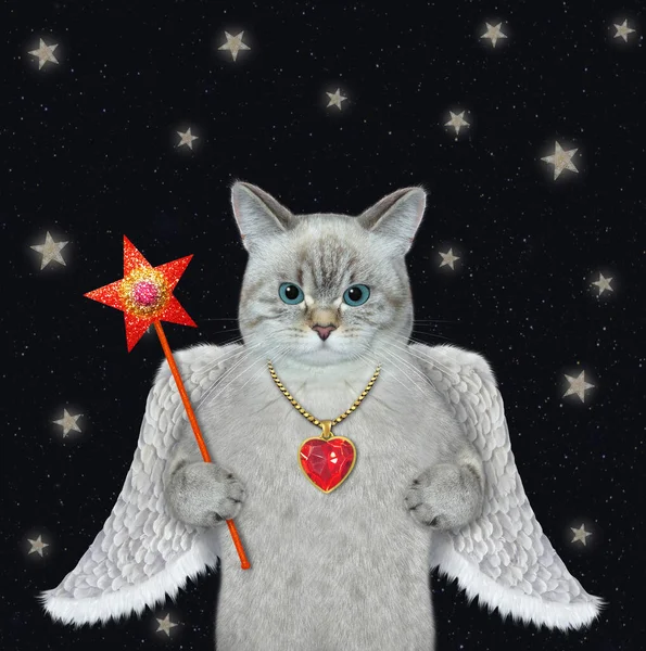 Popelavý Kočičí Anděl Křídly Drží Noci Kouzelnou Hůlku — Stock fotografie
