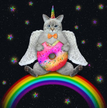 Kanatlı bir tek boynuzlu at gökkuşağına oturur ve geceleri donut yer..