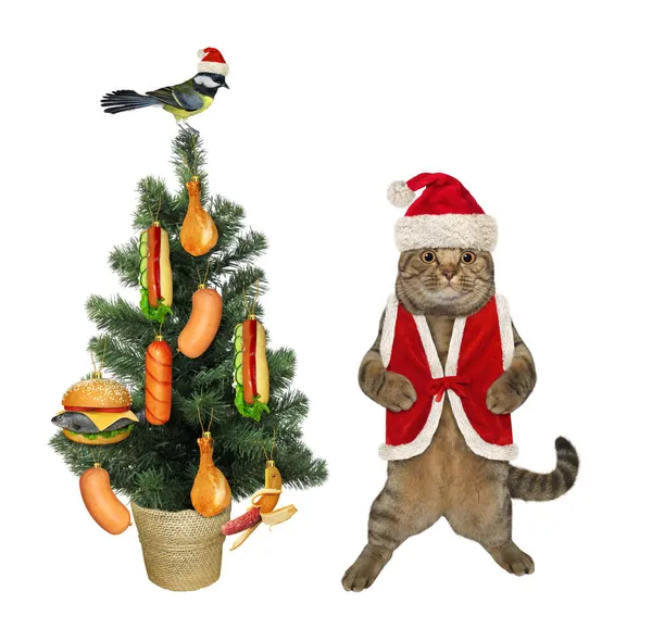 Béžová Kočka Klobouku Santa Claus Zdobí Vánoční Stromek Lahodným Jídlem — Stock fotografie