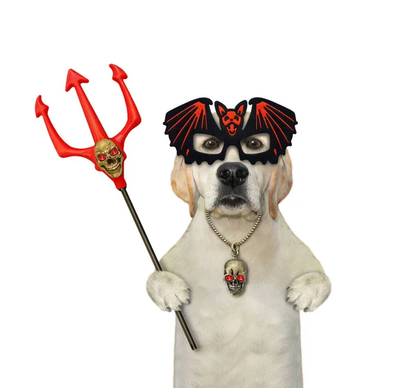 Ein Labrador Mit Fledermausmaske Hält Halloween Einen Teufelsdreizack Der Hand — Stockfoto