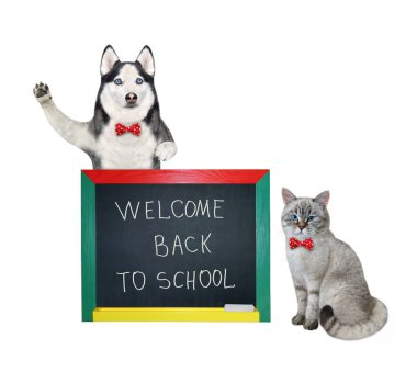 Bir kül kedisi ve bir köpek köpeği okula hoş geldin mesajı ile gelen bir okul yönetim kurulunun yanındalar. Beyaz arka plan. İzole edilmiş.