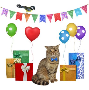 Renkli hediye kutuları ve balonların yanında papyonlu bej bir kedi. Beyaz arka plan. İzole edilmiş.