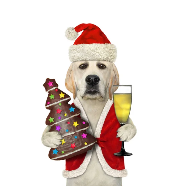 Perro Labrador Sostiene Una Copa Vino Árbol Navidad Forma Pan — Foto de Stock