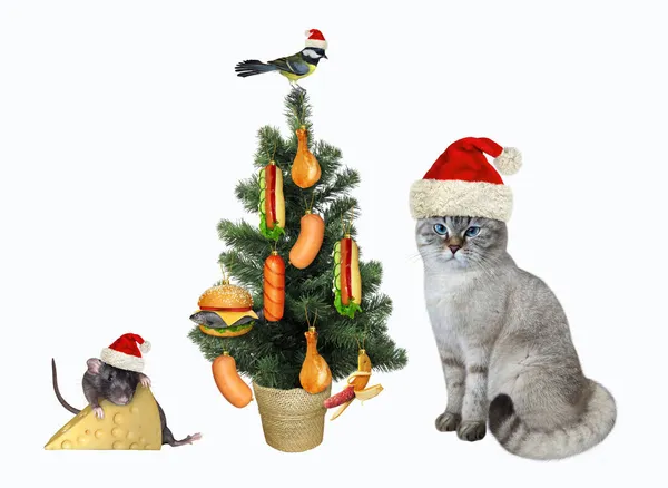 一只戴着圣诞老人帽子的灰猫用美味的食物装饰着圣诞树 白色背景 被隔离了 — 图库照片