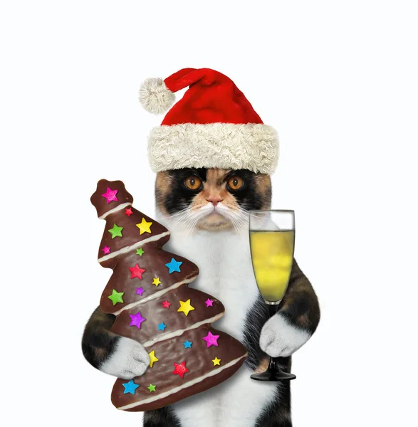 Colored Cat Holds Glass Wine Christmas Tree Shaped Chocolate Gingerbread — Stock Photo, Image